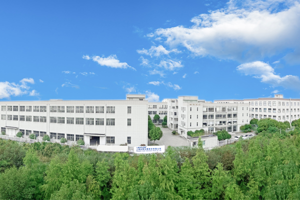 攜手同心、行而不輟，奔赴美好的2024